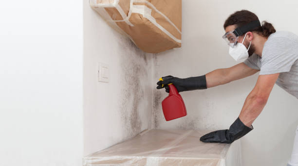 Professional Commercial Mold Remediation technician working in Morganville, NJ