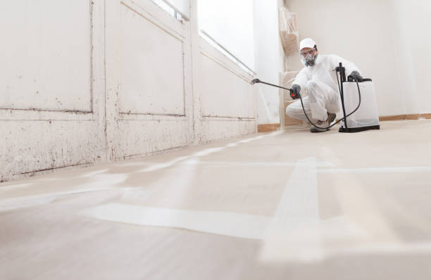 24/7 Emergency Commercial Mold Remediation experts in Morganville, NJ